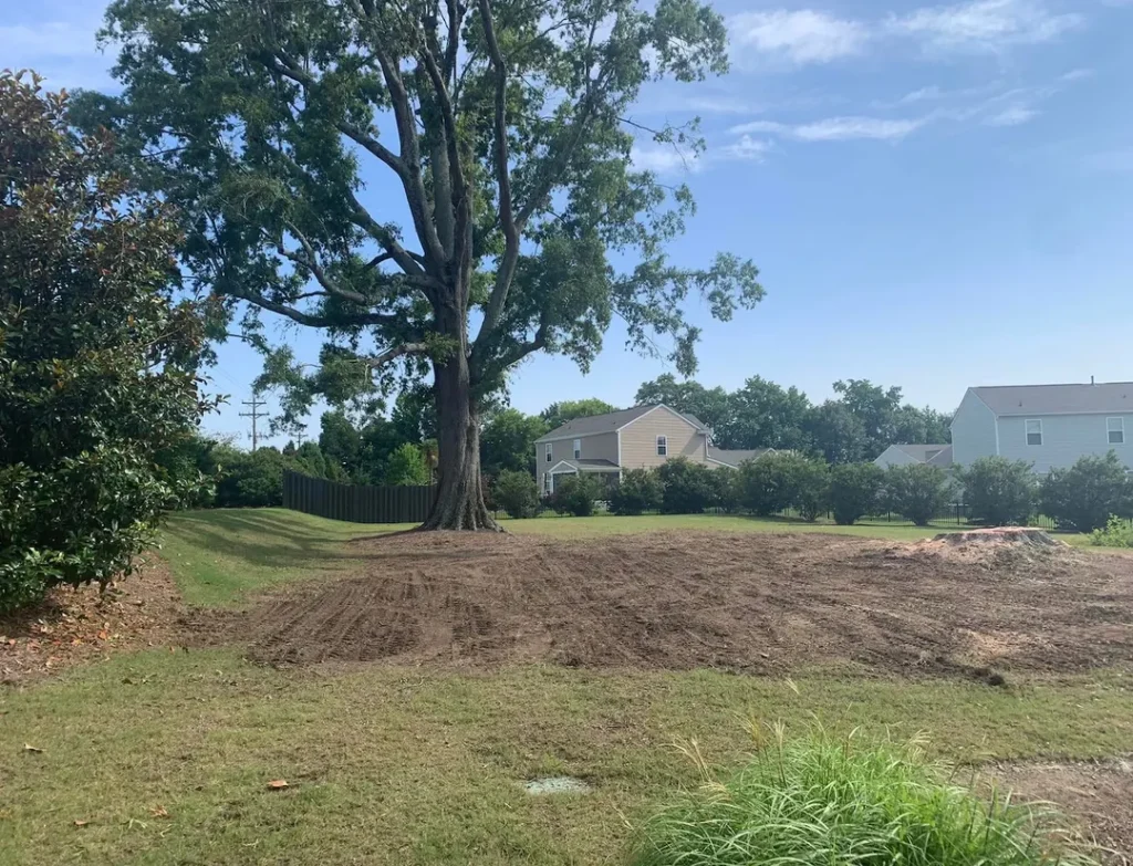 Lot Cleared