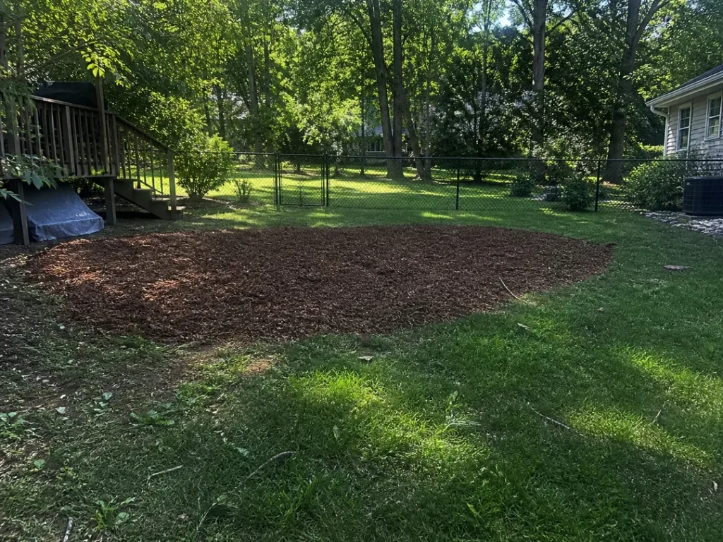 Grinded stump