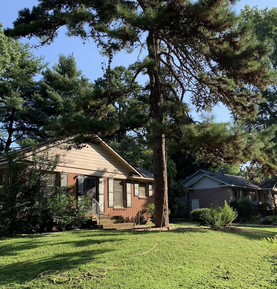 Tree Removal Close to a house